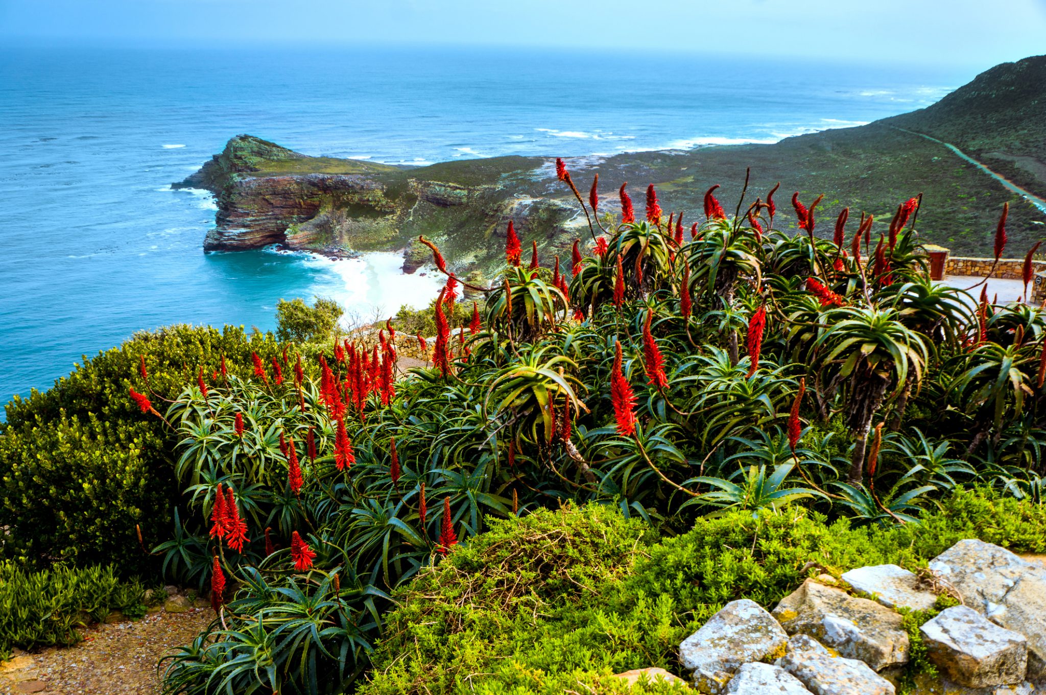 Cape of Good Hope