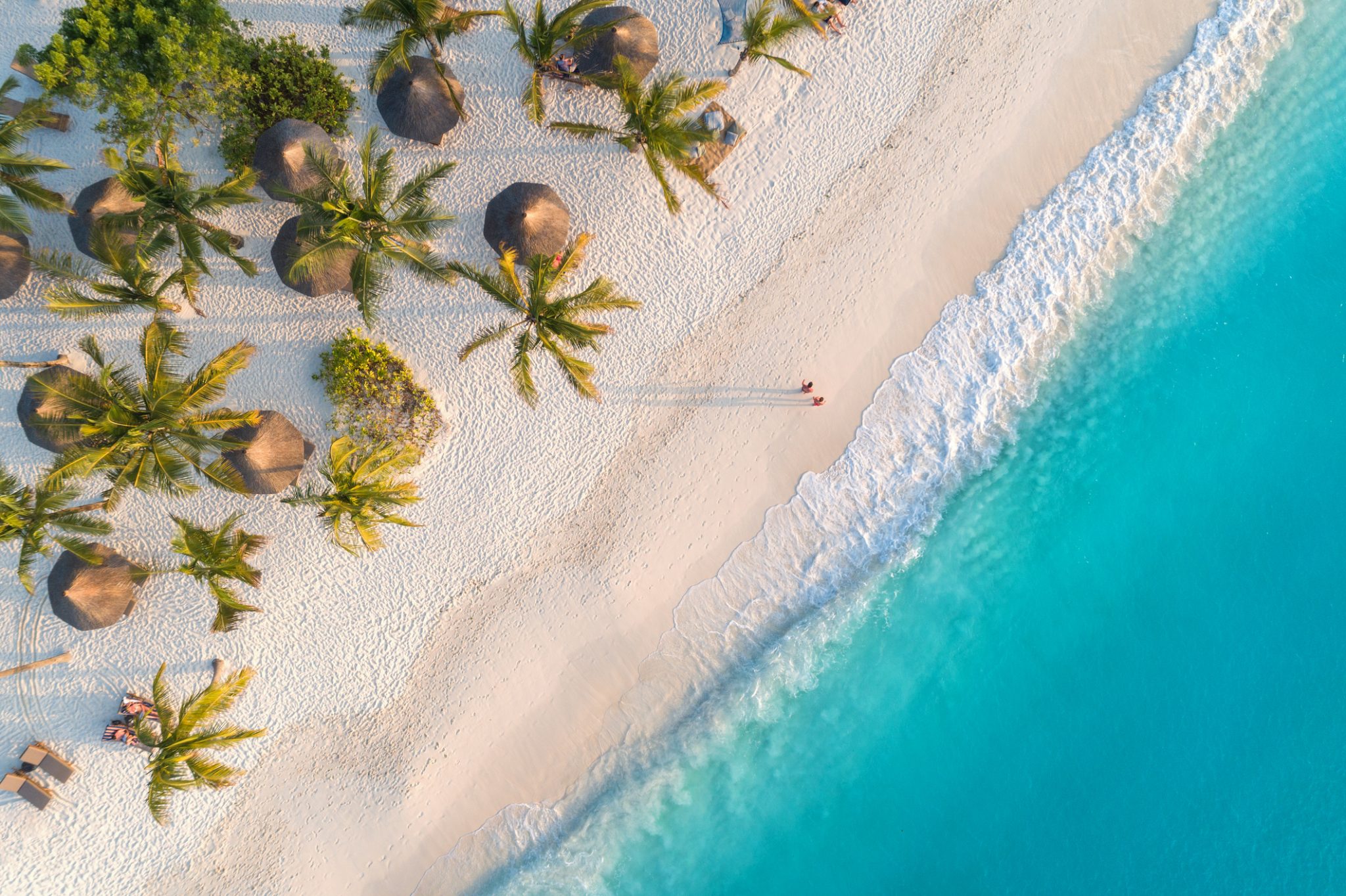 Aerial view of umbrellas, palms on the sandy beach of Indian Ocean at sunset. Summer holiday in Zanzibar, Africa. Tropical landscape with palm trees, parasols, white sand, blue water, waves. Top view