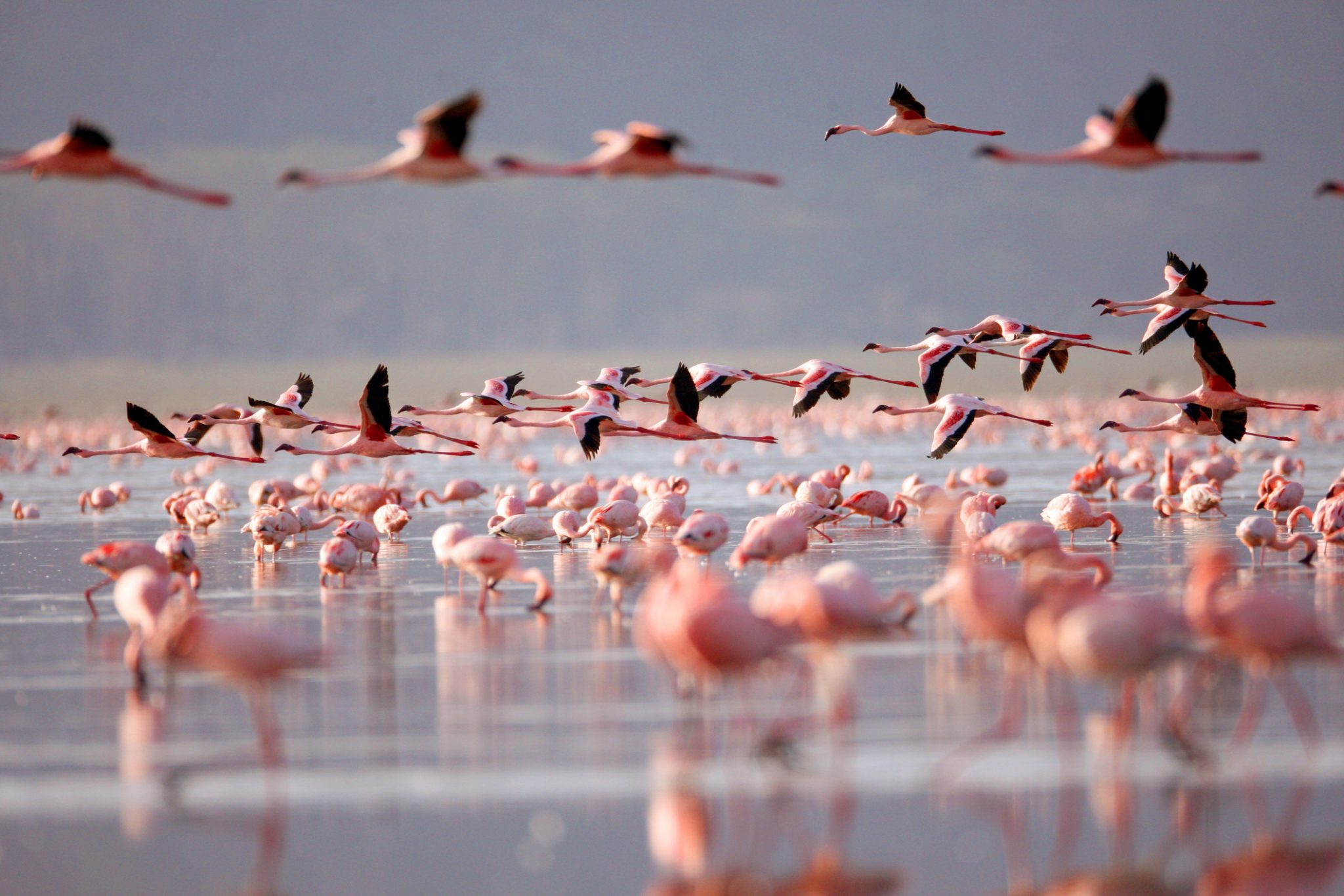 Lake Elementaita