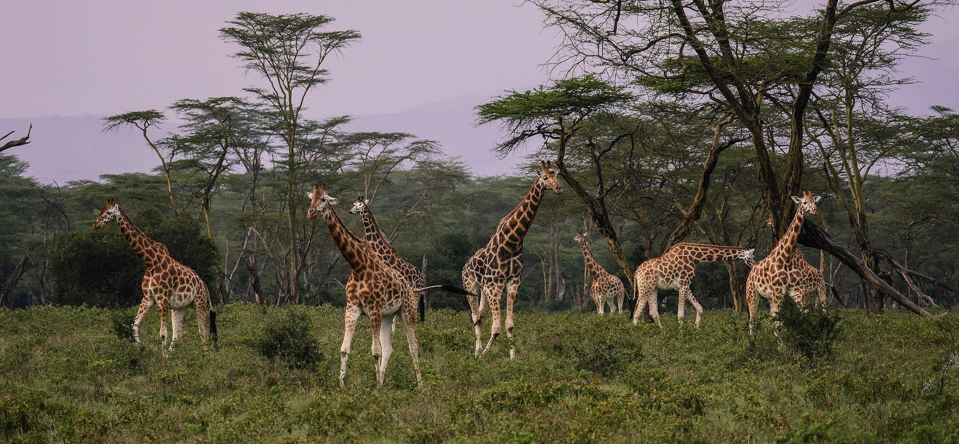 Krásy černého kontinentu – východní Afrika