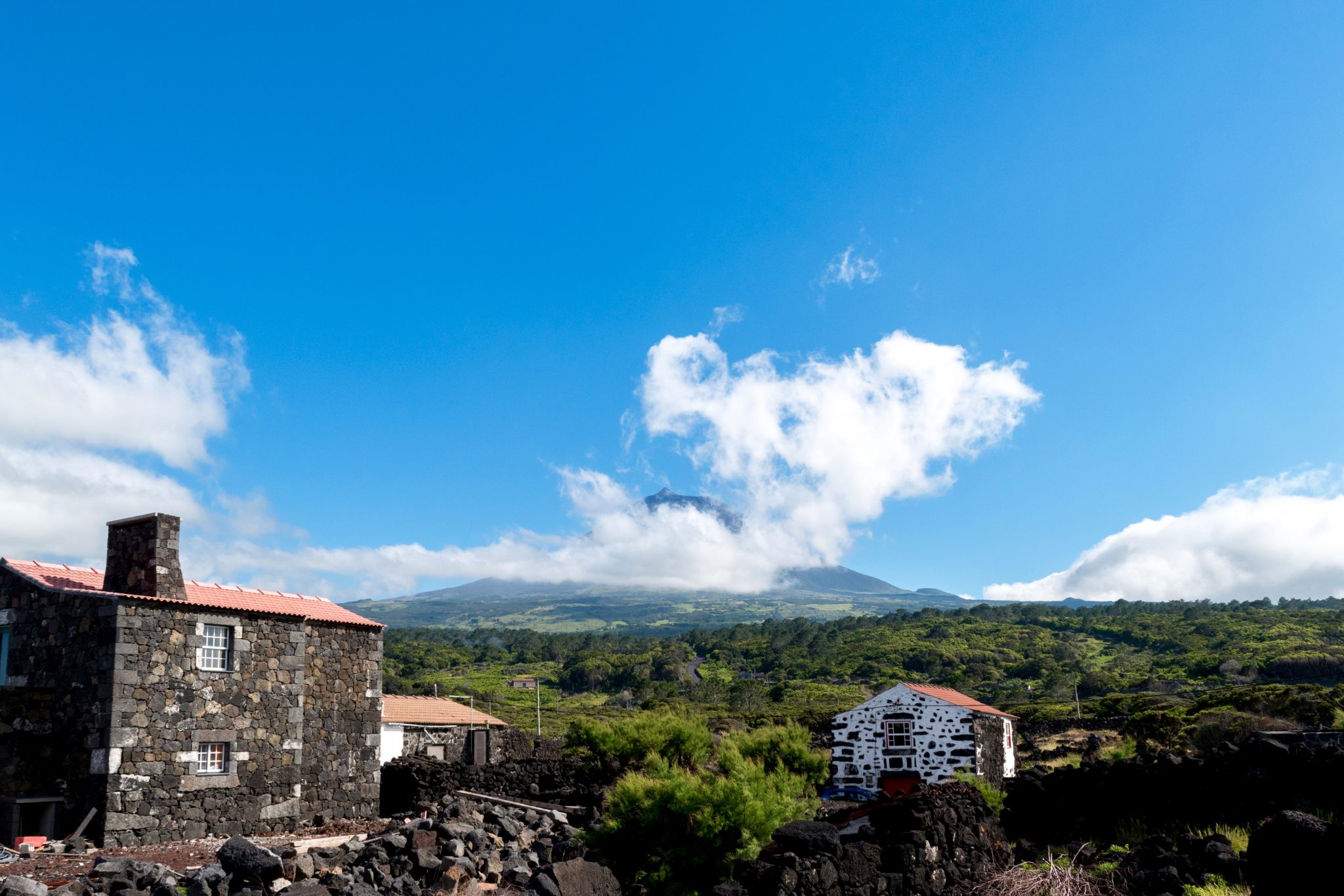 Pico