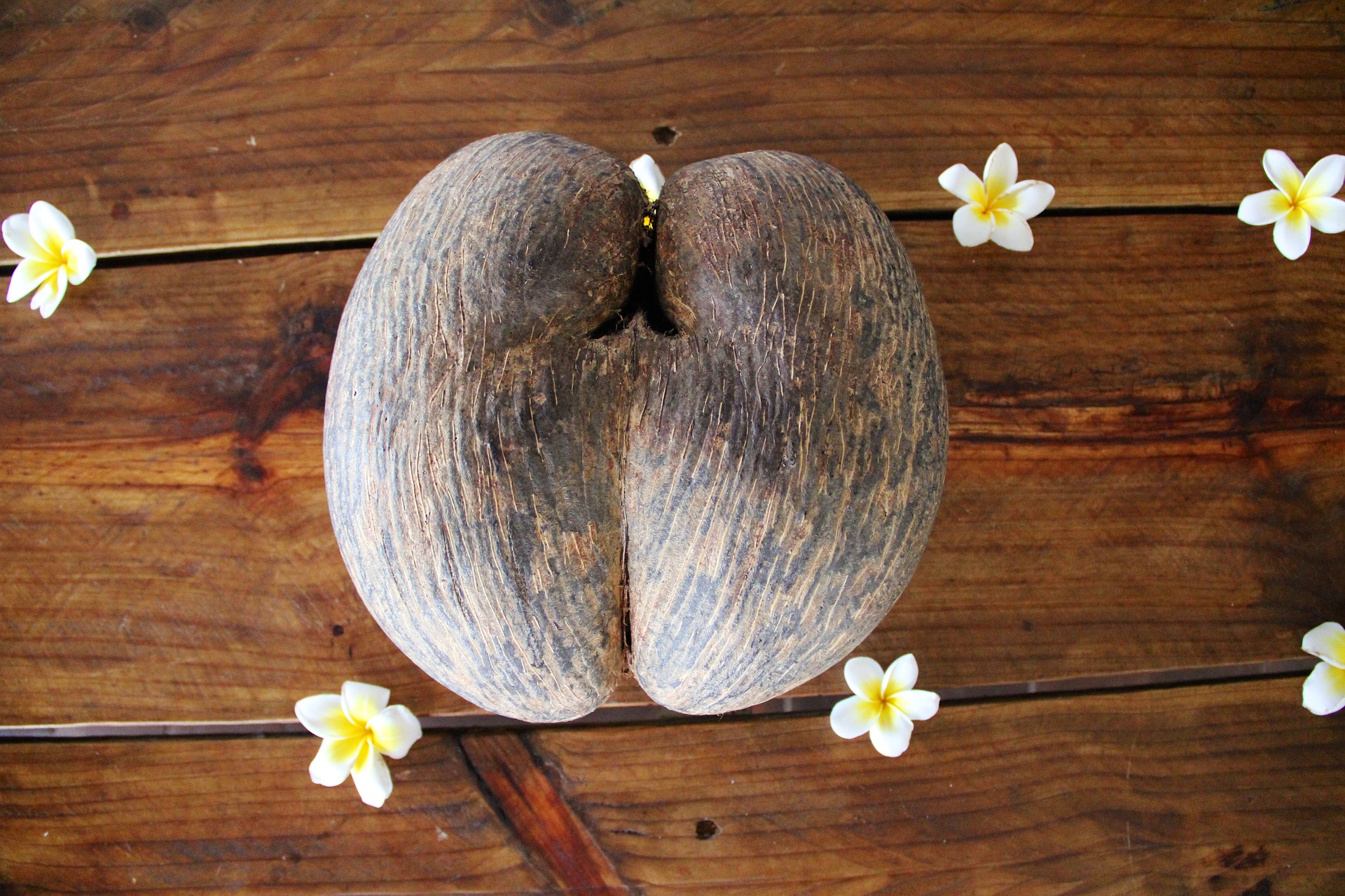 Seychely – souostroví „erotických“ palem